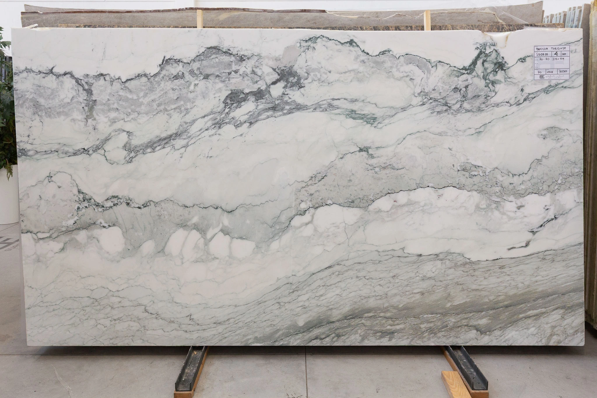 Breccia Capraia – Obrázok 2